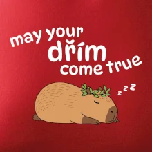 May your dřím come true