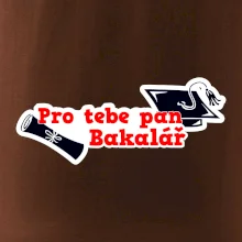 Pro tebe pan Bakalář