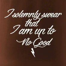 I solemnly swear that I'm up to no good