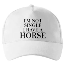 I have a horse - Nepotřebuji přítele