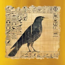 Egyptské hieroglyfy pták