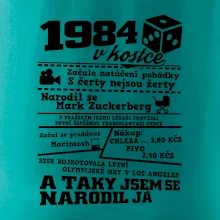 1984 v kostce
