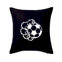 Medvědí tlapa fotbal