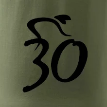 Cyklista slaví třicítku (30)