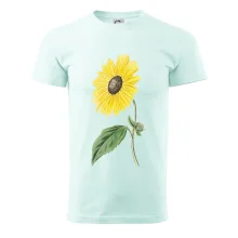 Slunečnice otočená