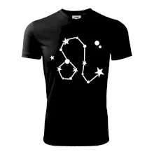 Souhvězdí - Leo - Lev