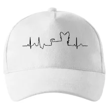 Jorkšírský teriér EKG