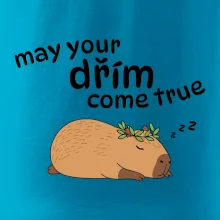 May your dřím come true