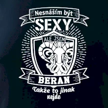 Nesnáším být tak skvělý - Beran