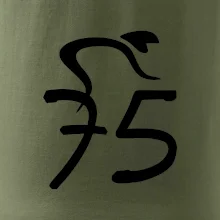 Cyklista slaví pětasedmdesátku (75)