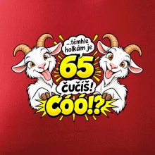 Těmhle holkám je 65, čučíš co?
