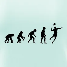 Evoluce Badminton