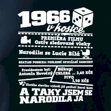 1966 v kostce