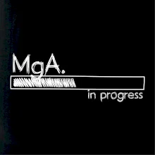 In progress titul MgA.  magistr / magistra umění