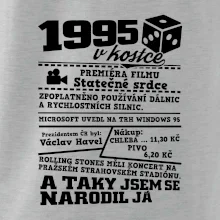1995 v kostce