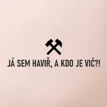 JÁ SEM HAVIŘ, A KDO JE VIĆ?!﻿