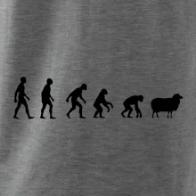 Evoluce ovce Evoluce ovce