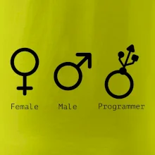 Female male programmer
