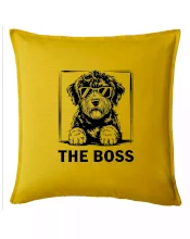 Lagotto romagnolo the boss