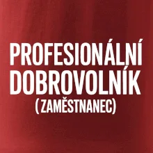 PROFESIONÁLNÍ DOBROVOLNÍK (zaměstnanec)