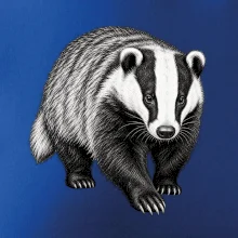 Zvířata Jizerských hor- Jezevec lesní