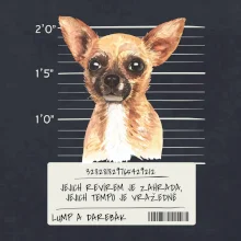 Lump a darebák čivava