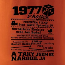 1977 v kostce