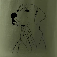 Labrador černá kresba