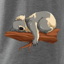 Koala na větvi