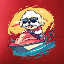 Lhasa Apso na vodním skútru