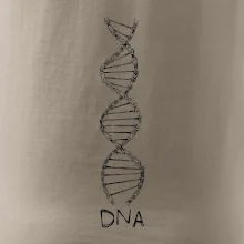 Cyklistovo DNA