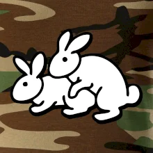 Dupající králící