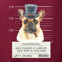 Lump a darebák francouzský buldoček