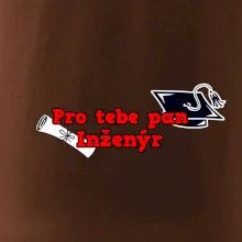 Pro tebe pan Inženýr