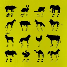 Zvířecí stopy s obrázkem zvířete - stopy zvířat