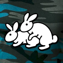 Dupající králící