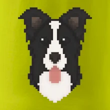 Border kolie Pixel