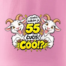 Těmhle holkám je 55, čučíš co?