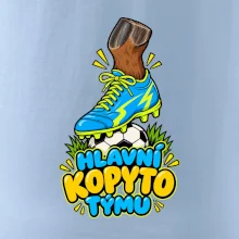 Hlavní kopyto týmu