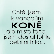 Chtěl jsem dostat k Vánocům koně