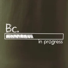 In progress  titul Bc. bakalář / bakalářka