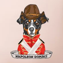 Napoleon domácí pes kříženec