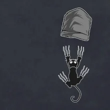 Kočka vypadla z kapsy