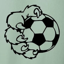 Medvědí tlapa fotbal