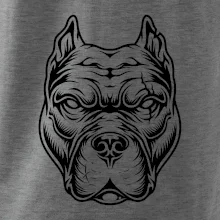 Americký stafordširský teriér hlava