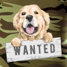 Zlatý retriever - štěně wanted