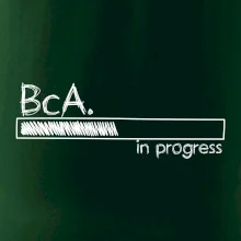 In progress  titul BcA. bakalář / bakalářka umění