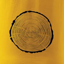 Letokruhy 35 bez věku