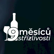 9 měsíců střízlivosti