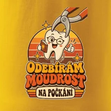 Odebírám moudrost na počkání